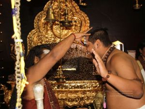 20170601 Photo 124 1D14yZfQjW6uhIWAWO3MdNYhlhXrzRwc0.jpg