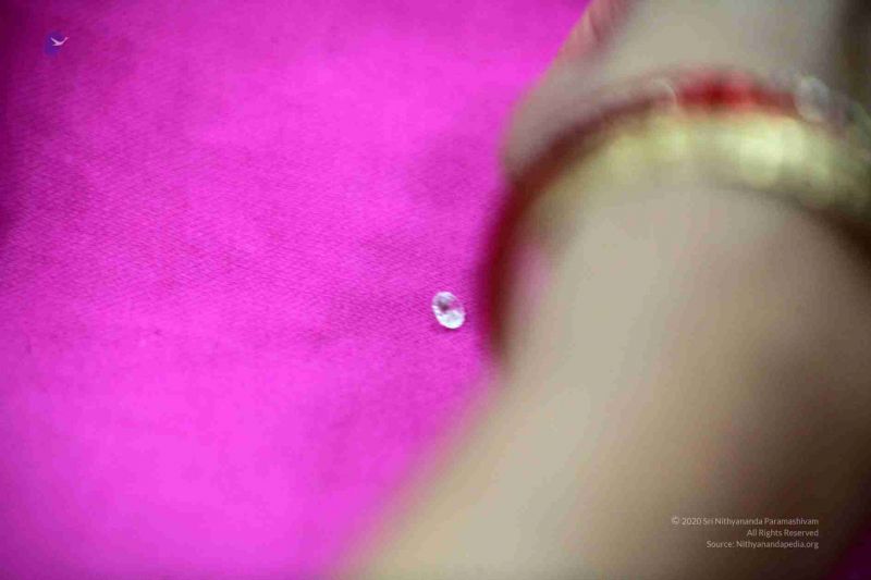 File:20170617 Photo 425 1uu9fLmLUKJDwB-aPal3UjTl64sSisweG.jpg