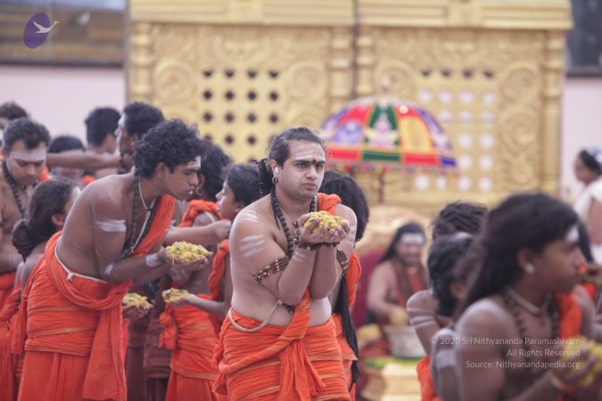 20170703 Photo 1302 16nDPuv4QaArzJ0fb3zfj5-FGQxGpBuIL.JPG