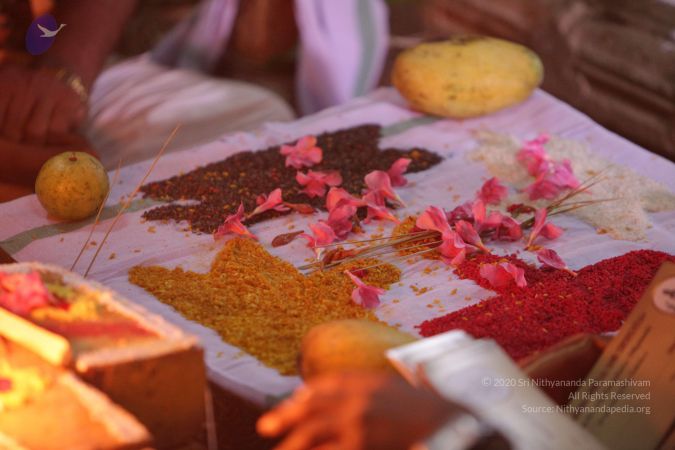 20170703 Photo 1389 1kCZt4Uy5QT9wnQLLTvtLrFqvUYJExqU4.JPG