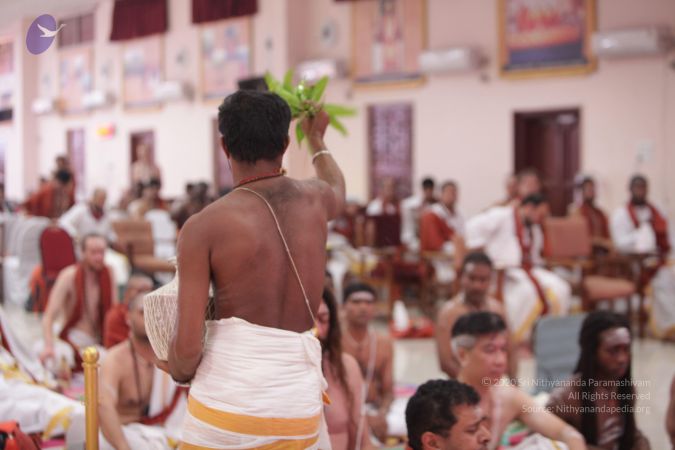 20170703 Photo 1456 1eMw19aoCkJIK4W44JVr0o O1WeMcKLeD.JPG