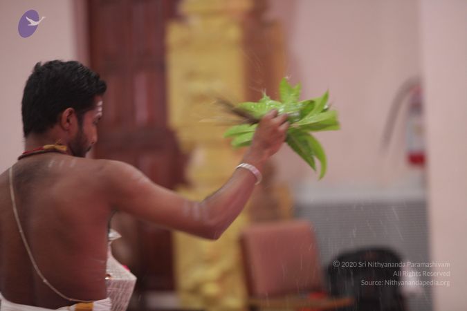 20170703 Photo 1458 1zoZhW-N0AYBOlXSkOMyTq9GS1BHbHY98.JPG