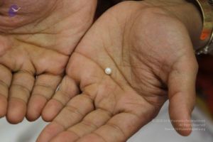 20170705 Photo 1643 1t09-G6acC8LNcypw61xoWUZj0sSg3nfK.JPG