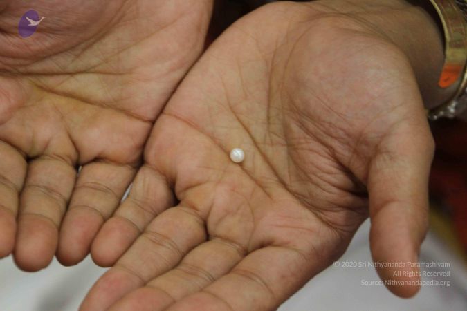 20170705 Photo 1643 1t09-G6acC8LNcypw61xoWUZj0sSg3nfK.JPG