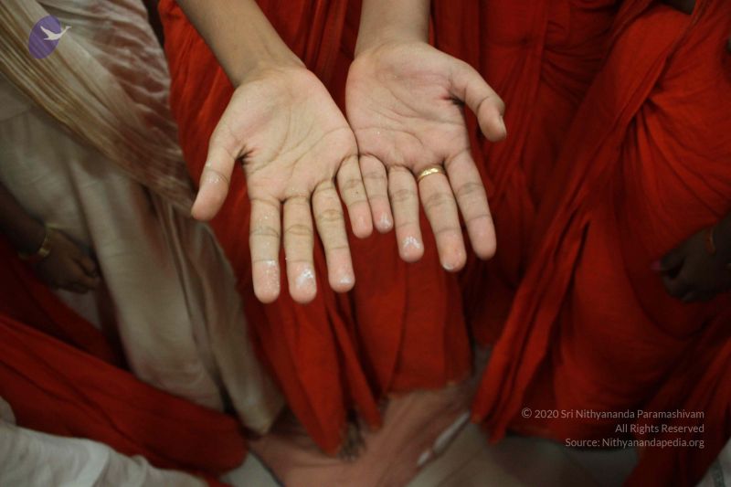 File:20170705 Photo 1714 1KZae97QelYSyL7lVnpYWX9erB73uEH2X.JPG