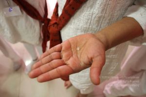 20170705 Photo 184 1swzpzI0ig2rniCD8Cb2AgYN1yb90yC83.jpg