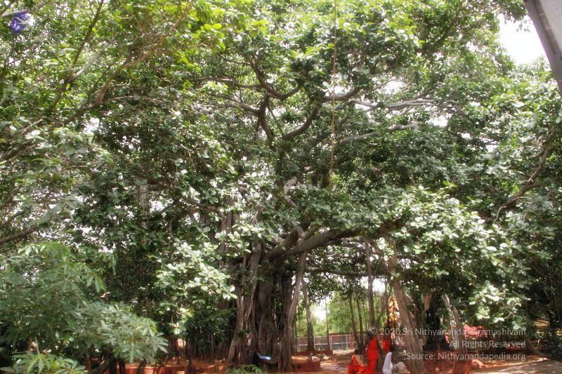 File:20170706 Photo 1004 1MV5T5vpFqMjYMXGbzfMIHh13 smFnIc9.JPG