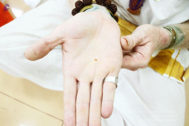 File:20170706 Photo 1050 1TcLt9uu9Qe4wJTKXgRRpAQThOadOmlkj.JPG