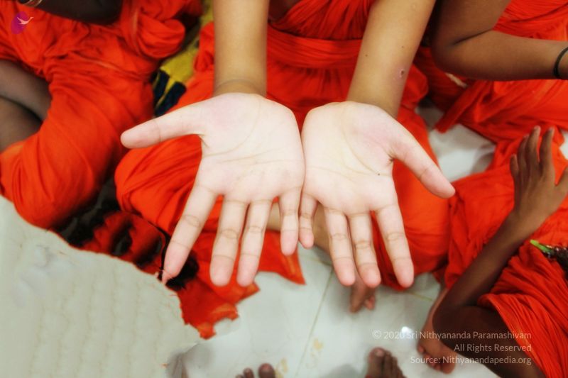 File:20170706 Photo 1054 1Y-dSbXeir3CeGsPznk QYKVnUOT-1Wq6.JPG