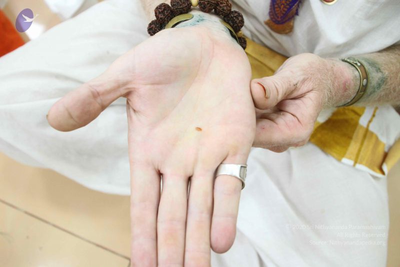 File:20170706 Photo 1061 1bFiLlkClvBoh45-YK7P3MX5J4CXfOVox.JPG