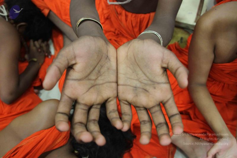 File:20170706 Photo 1064 1VfJwVWJZzEM6YQEx7E9Hi48AFXgeitou.JPG