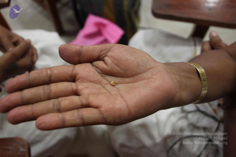 File:20170706 Photo 1079 1Je MZYFJg0c1ttidNzqlfJDmBnMVgUvL.JPG