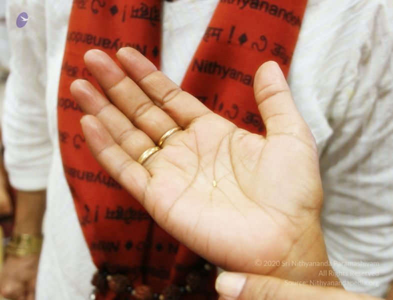 File:20170706 Photo 1087 1laX2s9cUY2mYZyzEVhdxXojoikIAJH33.JPG