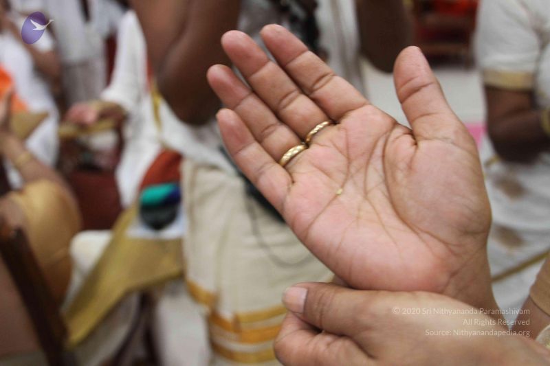 File:20170706 Photo 1094 1 8FRSHmyMCJ20o5tpvhnWtkKY wWPPUX.JPG