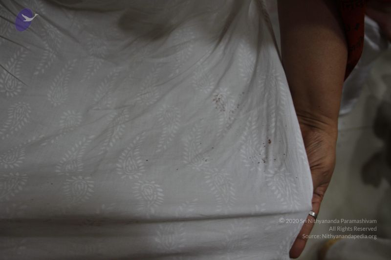 File:20170706 Photo 1114 1ImsNFfh929PHWcmVnRTgHTd cGBBPwER.JPG