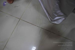 20170706 Photo 1142 1WQ00ftxcrrTlRudHSKuj6MNkpwRF1oDX.JPG