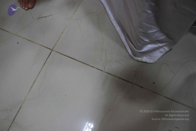 File:20170706 Photo 1142 1WQ00ftxcrrTlRudHSKuj6MNkpwRF1oDX.JPG