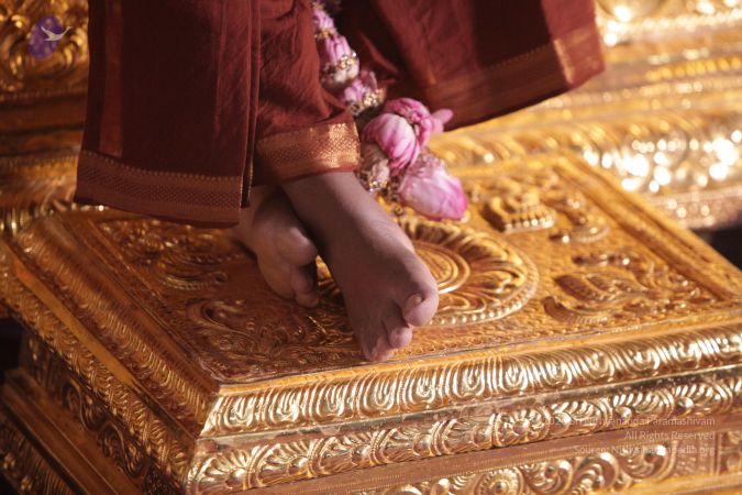 20170708 Photo 1504 1zsR5G9TlmcmOekQbJhPw5jOipofVewSD.JPG