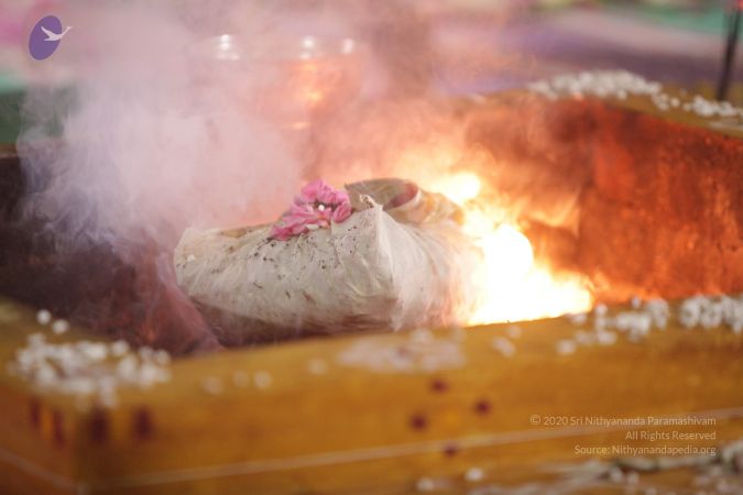 20170708 Photo 1586 1ONESjEWDkjLzEGjsRT8qQ6WNtiBppr25.JPG