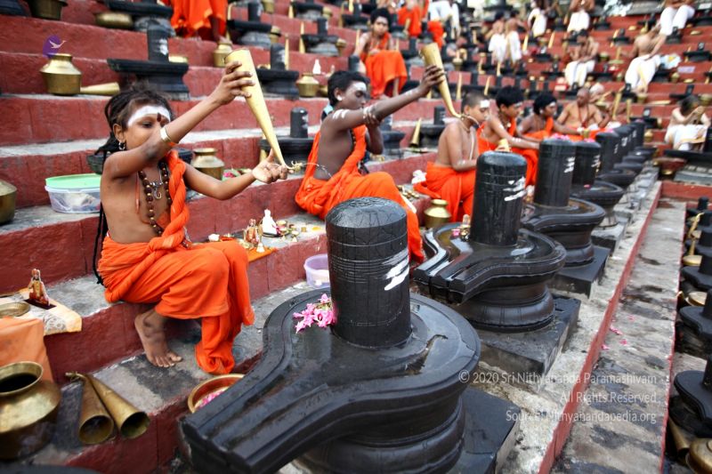 File:20170724 9111.jpg