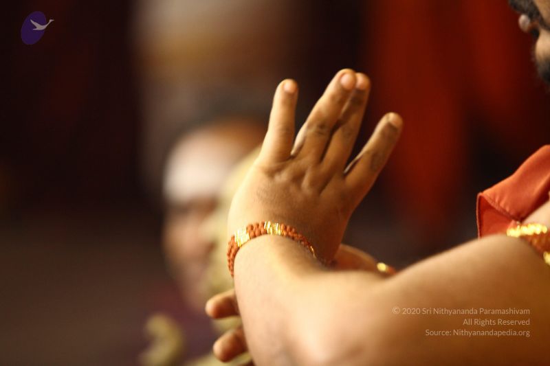 File:20170726 Photo 1462 1AMQ78WmdAwE4qJ-fNncWC3U3B9cntYIn.JPG