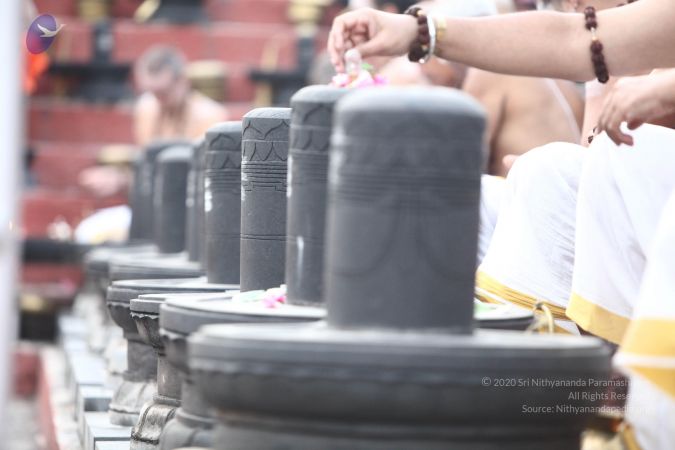 20170807 Photo 1020 1oBZTy xVpArqsPgH1kgrqDrF8Z9Ov72x.JPG