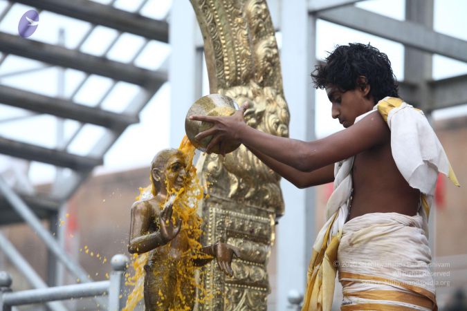 20170807 Photo 1055 1xBJxhTmBd74aCdHD ajpfJe5bvBOQVgO.JPG