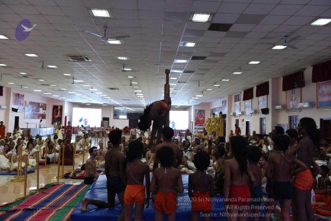 20170813 Photo 957 1hKUKDBuG8AgYvet9wF6-eMKZGW3x8LR8.jpg