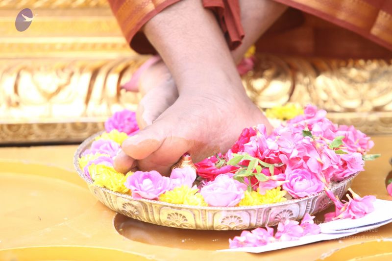 File:20170814 Photo 1177 1FJGNhJIWjm16Hw wE3W86l5 JqwFzInG.JPG