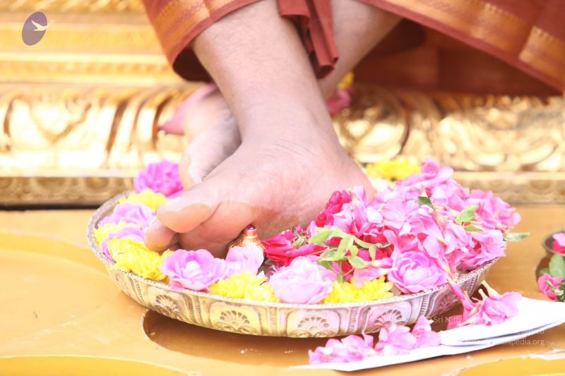 File:20170814 Photo 1178 1R9XtsFtwDGhOnNJLoAiLBTev4qzqRYyB.JPG