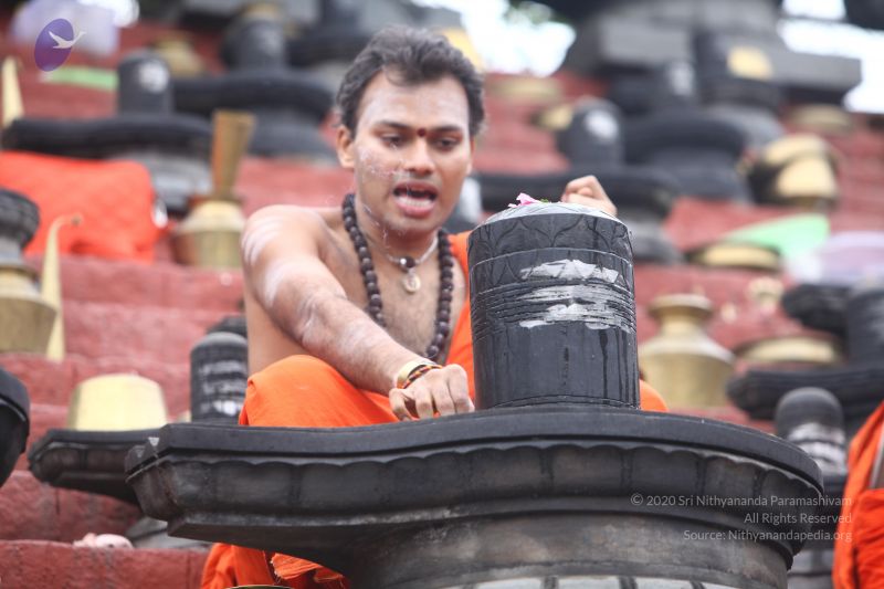 File:20170814 Photo 1263 1zfRR-acXM3nrWm8PwaV7E2x79lud9RKG.JPG