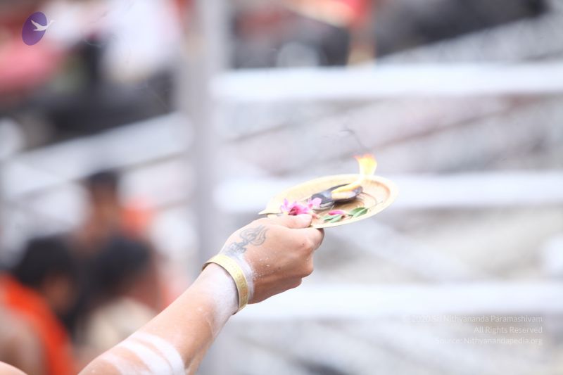 File:20170814 Photo 1277 1S0vQRTMKKnxUkWnRz4XEu-sRY7Mvw8gW.JPG