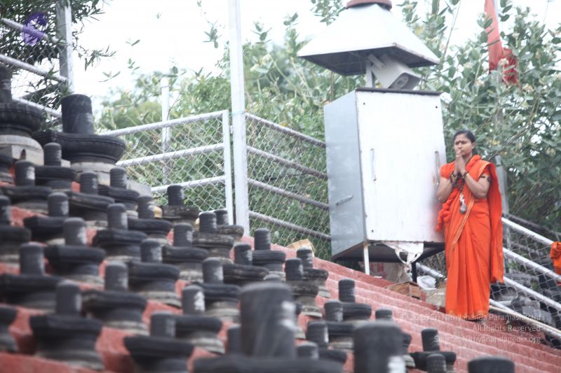 File:20170814 Photo 1282 1cEurDKzKr-ne11zWnL4yK5i4LJzleIyc.JPG