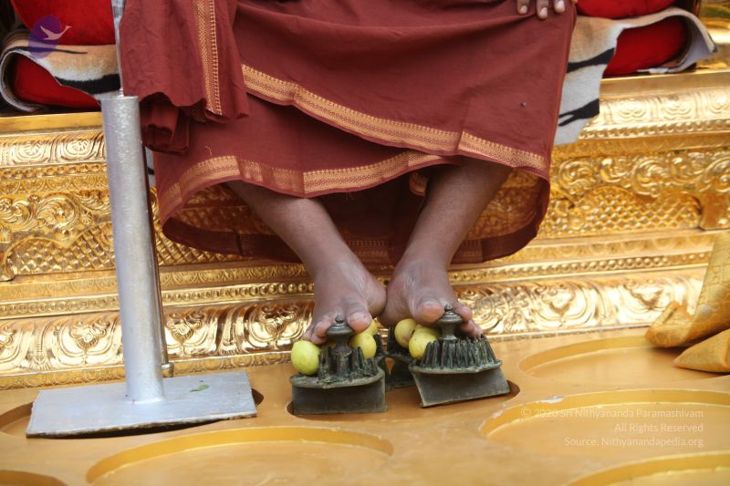 File:20170814 Photo 1333 1uBPIb95vRktLjQ0K13I2xrvSJyLkQox7.JPG