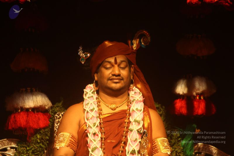 File:20170814 Photo 1773 1X9ffQZdwLLEoTzFprWGv3LeGyyk8rTTE.JPG