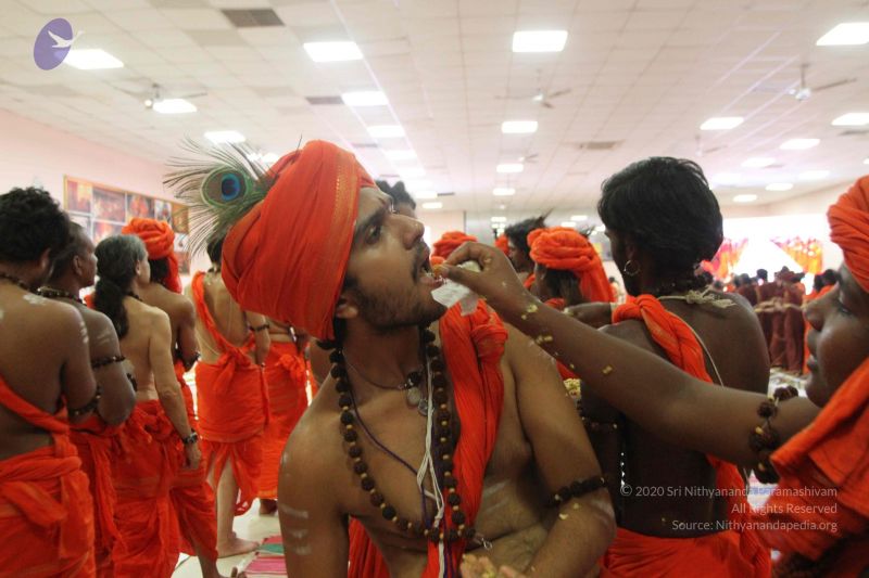 File:20170814 Photo 2430 1Cha96ncRjdpQeg5z6RbTTIixHZ cIkGJ.JPG