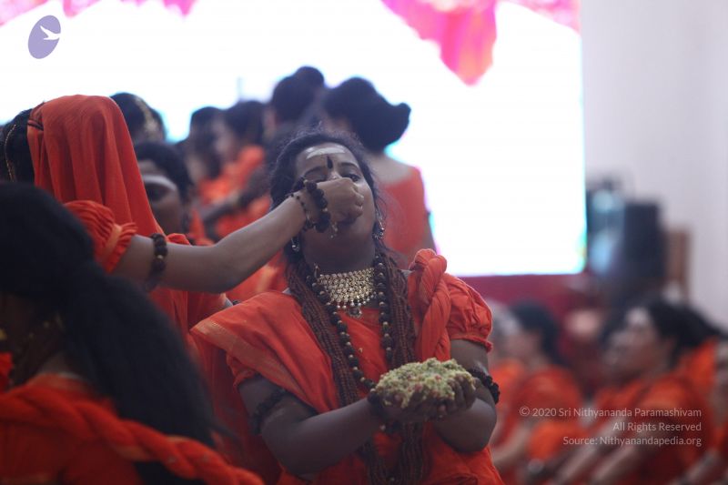 File:20170814 Photo 2566 12j9ybv1-1w pGUMveG2QSCABxalYeMwj.JPG