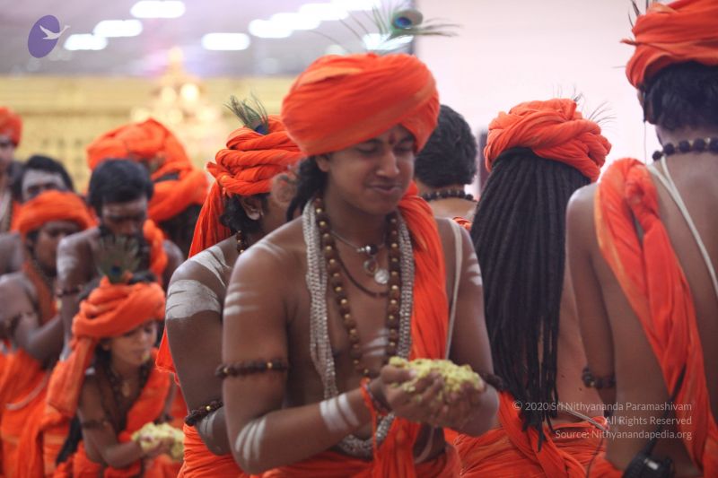 File:20170814 Photo 2583 1KC85QVZnep MX0zvuQ2nVqr5TOS2a4We.JPG