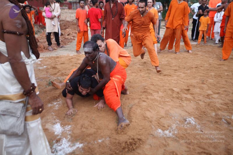 File:20170814 Photo 2741 1sLgJipp5jvw1wAyr2bmRHiUANgAEG25X.JPG