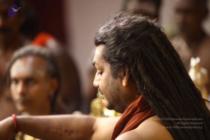 20170820 Photo 1115 1QI-gGT4UHl-hykNCrIe0DR4umaE56IlF.JPG