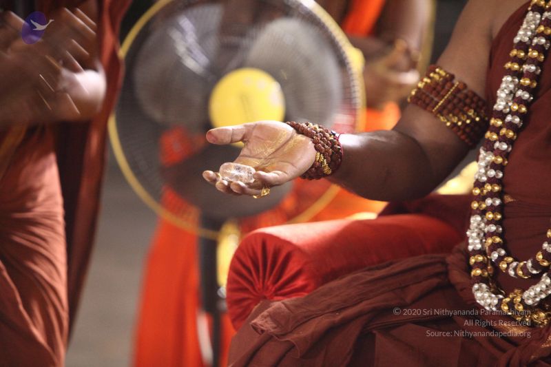 File:20170822 Photo 1122 1WfVtFMnOIRslkec6CH5dod j5u4quo45.JPG