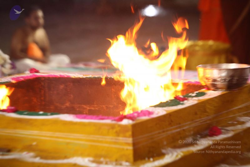 File:20170822 Photo 1124 1ZcjIfPQgy3dzwNSJHneJQrVF3e38tuFz.JPG