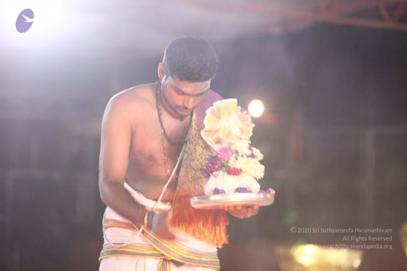 File:20170822 Photo 1130 11GGOwKQwCPjcoYmgiwTRJXU6q39lalrb.JPG