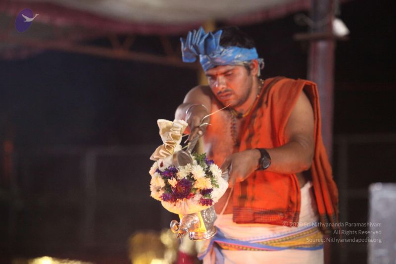 File:20170822 Photo 1134 1WLXRbo5iYmPvWmSVVFVKtpy3Wtxtokz9.JPG