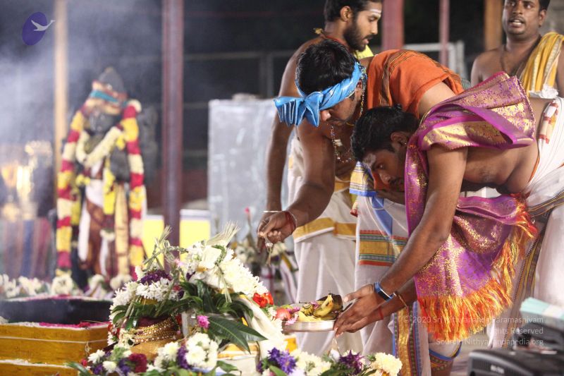 File:20170822 Photo 1185 1GiyCbjB3UH3u2DRPPPLklqfvXmMk3Jho.JPG