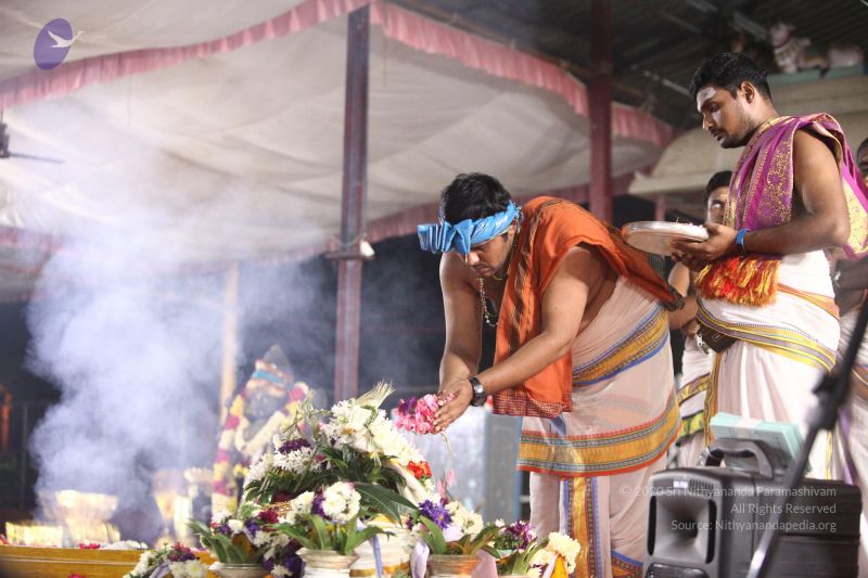 File:20170822 Photo 1188 1lrgEjI2vIlsgZQzFq-Y7D75BzaiXwgCI.JPG