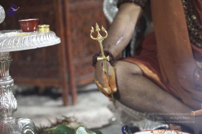 20170829 Photo 1434 192m kGsurbopttC9He6pt6p1ZGHOIrpR.JPG