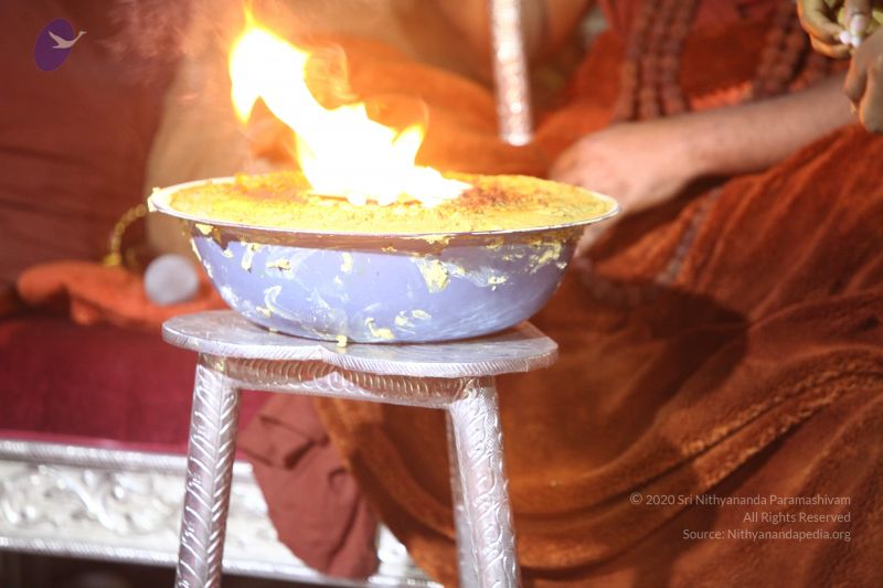 File:20170902 Photo 1102 1iH2X4t-QjhdTMC5pSd9uhIDK7zNZJIkF.JPG