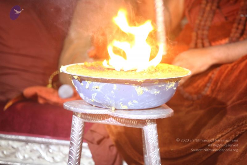 File:20170902 Photo 1104 1aewSqKuneJtnpumrxvQHimOEgT-laVr7.JPG