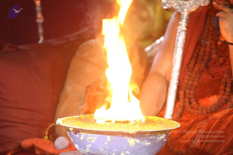 File:20170902 Photo 1112 1ax9b0Jt6ja58FIcvNqGGOzmHi-sZICYJ.JPG